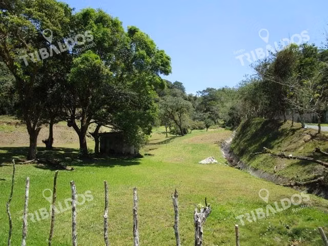 Venta de Terreno en Los Llanitos, en El Valle de Anton