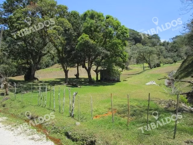 Venta de Terreno en Los Llanitos, en El Valle de Anton