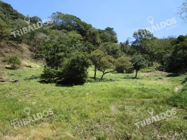 Venta de Terreno en Los Llanitos, en El Valle de Anton