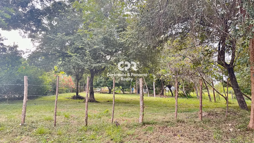 Venta de Terreno en Coronado, Calle Campestre - Imagen 2