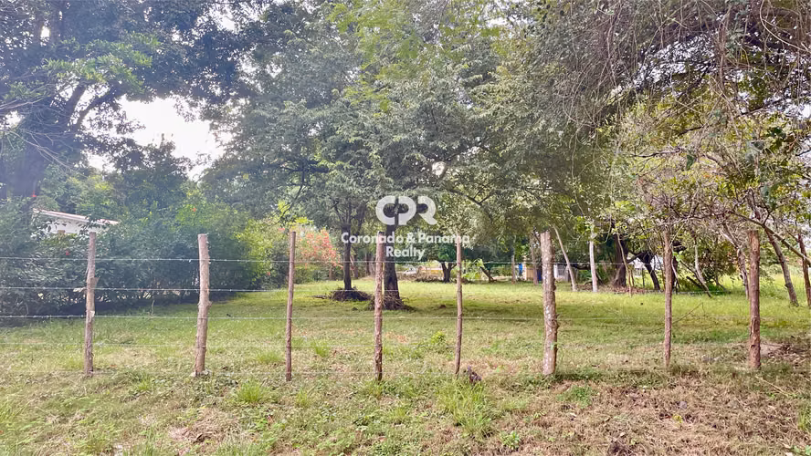 Venta de Terreno en Coronado, Calle Campestre