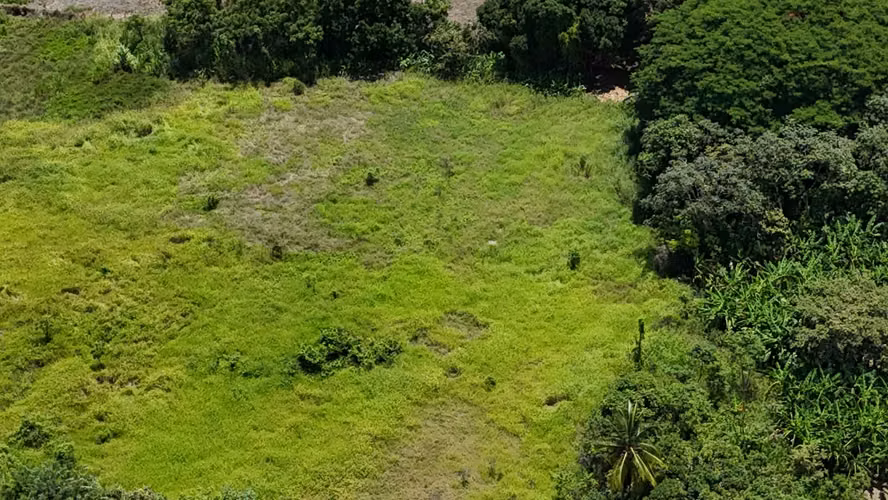 Terreno en Venta en Juan Hombrón | 23,522 m² | Con Casa | Cerca de Playa | $350K