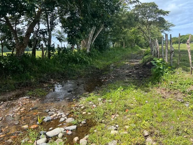 Finca en Chiriqui, San Félix 12.1 hectáreas, Las Lajas