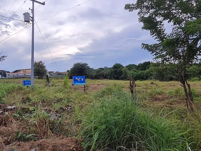 VENDO LOTE COMERCIAL RIO HATO Interamericana 13,699 m2 Frente 140 m.