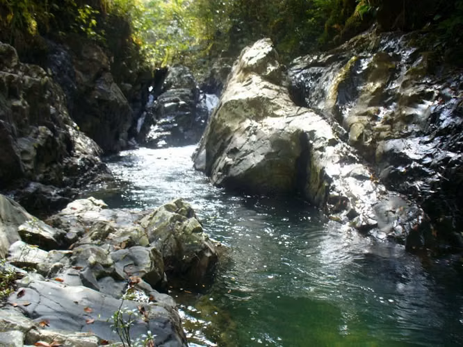 Venta de Finca en Soná, 374 Hectáreas