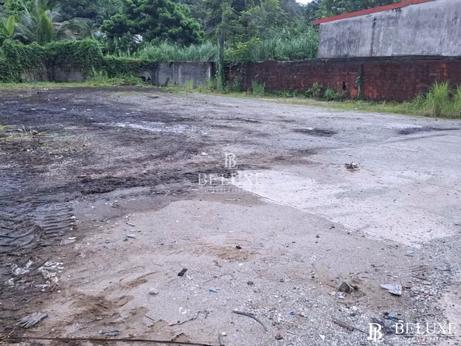 ALQUILO TERRENO EN CARRETERA BOYD ROOSVELT, CATIVÁ (6)