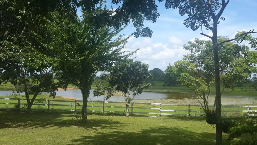 Venta de Finca en Cerro Cama, 18 hectáreas