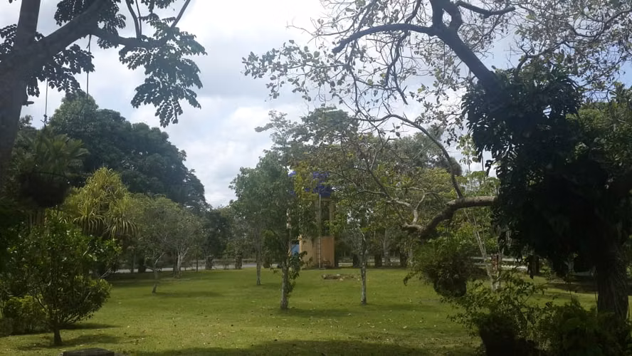 Venta de Finca en Cerro Cama, 18 hectáreas