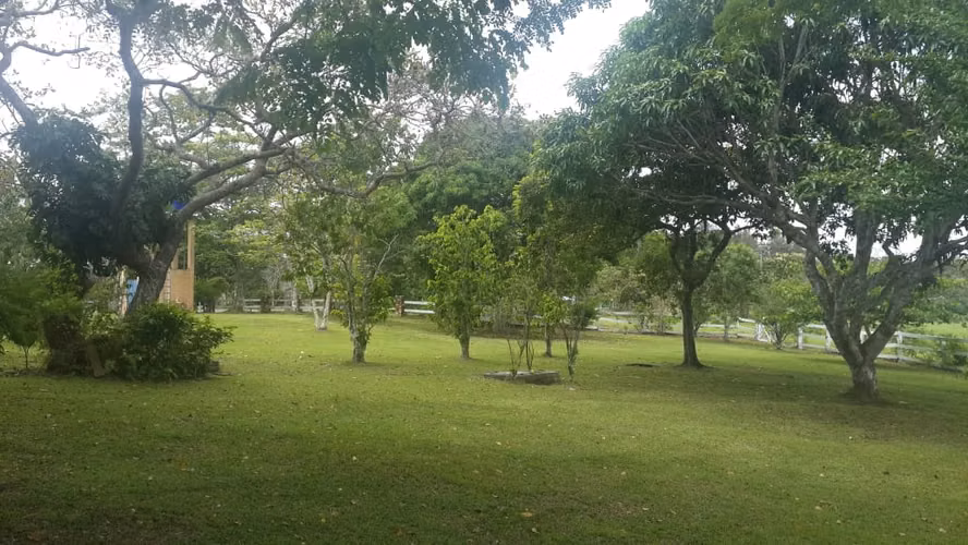 Venta de Finca en Cerro Cama, 18 hectáreas