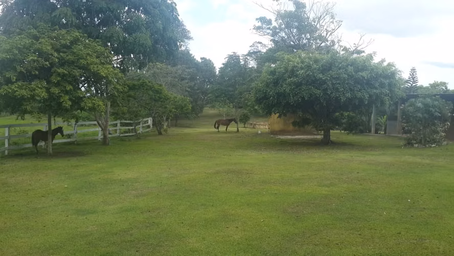Venta de Finca en Cerro Cama, 18 hectáreas
