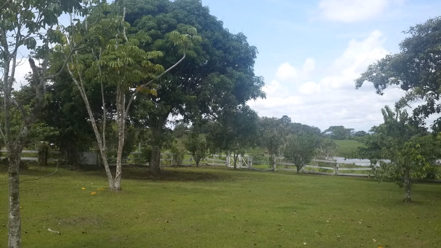 Venta de Finca en Cerro Cama, 18 hectáreas