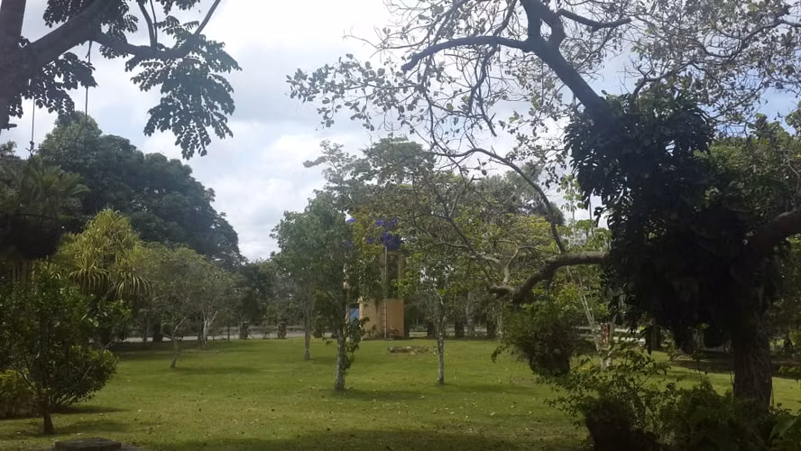 Venta de Finca en Cerro Cama, 18 hectáreas