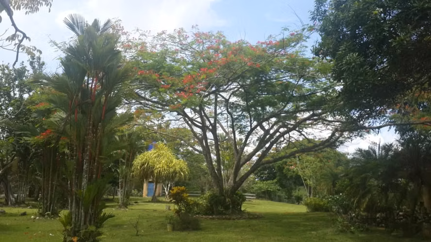 Venta de Finca en Cerro Cama, 18 hectáreas