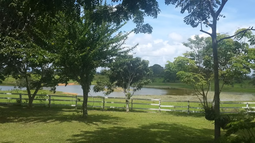 Venta de Finca en Cerro Cama, 18 hectáreas