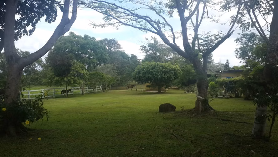 Venta de Finca en Cerro Cama, 18 hectáreas