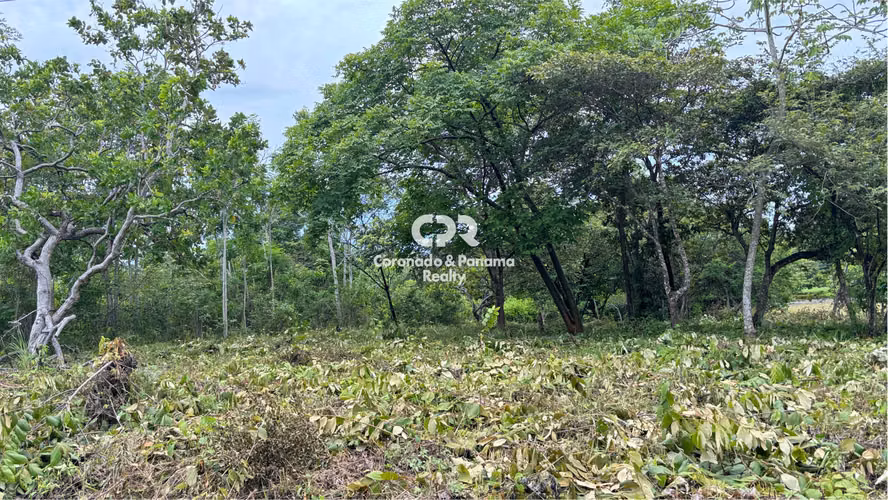 Venta de Terreno en Coronado, Club de Golf. - Imagen 7