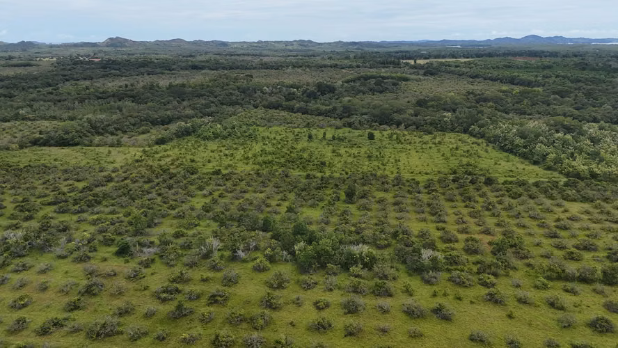 Finca en Chiriqui, Horconcitos 372 hectàreas