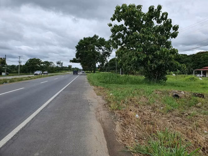 VENTA DE TERRENO EN PENONOMÉ - Imagen 4