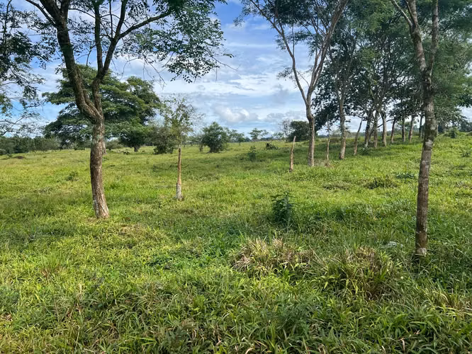 Land in Chiriqui, Bugaba, 7.3 hectares in San Vicente