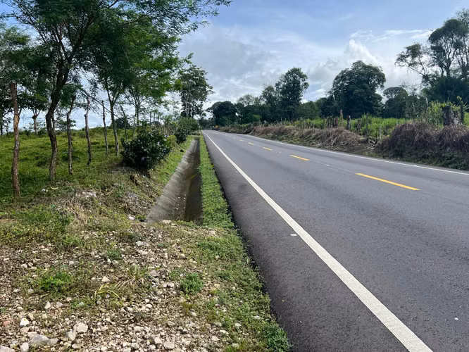 Terreno en Chiriqui, Bugaba, 7.3 hectareas en San Vicente - Imagen 2