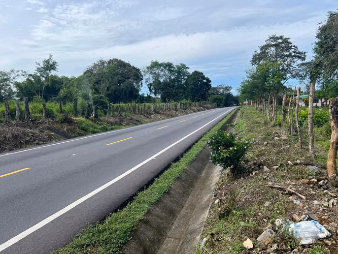 Terreno en Chiriqui, Bugaba, 7.3 hectareas en San Vicente - Imagen 3