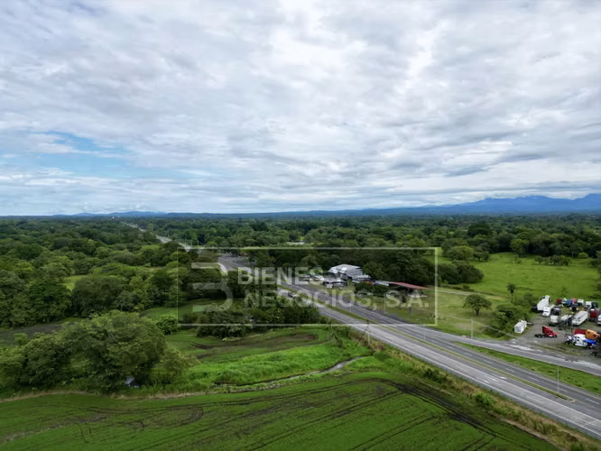 Terreno en Chiriqui, Boqueron, 12 hectáreas frente a la Panamericana