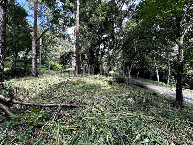 Oportunidad! Se Vende Amplio terreno en Altos del Maria - Imagen 5