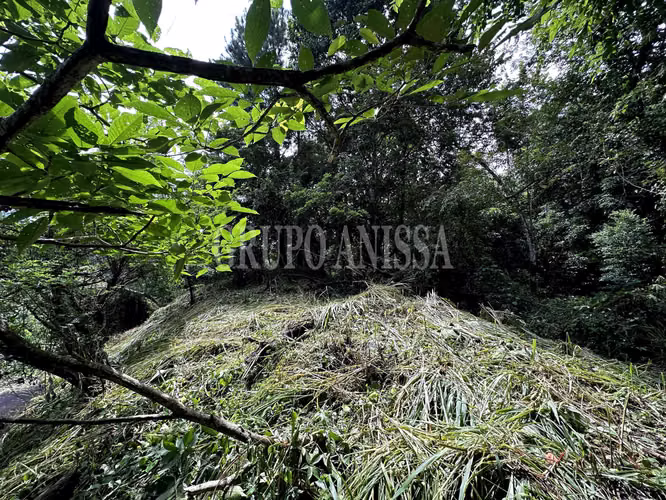 Oportunidad! Se Vende Amplio terreno en Altos del Maria - Imagen 7