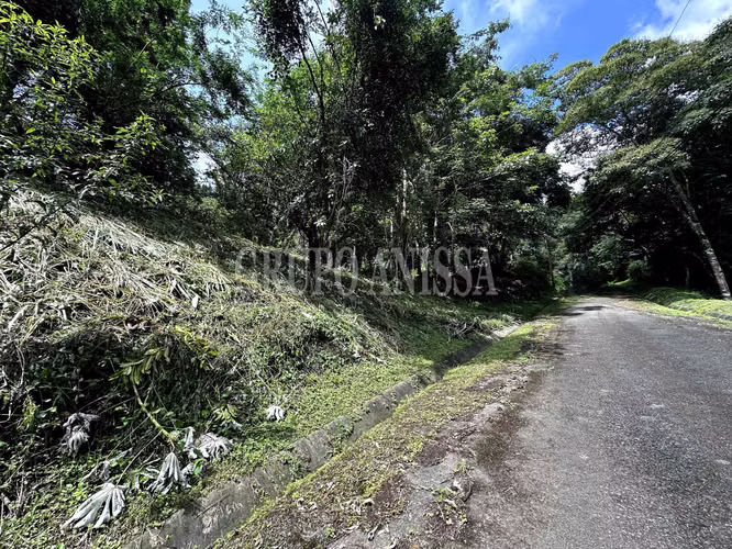 Oportunidad! Se Vende Amplio terreno en Altos del Maria - Imagen 3