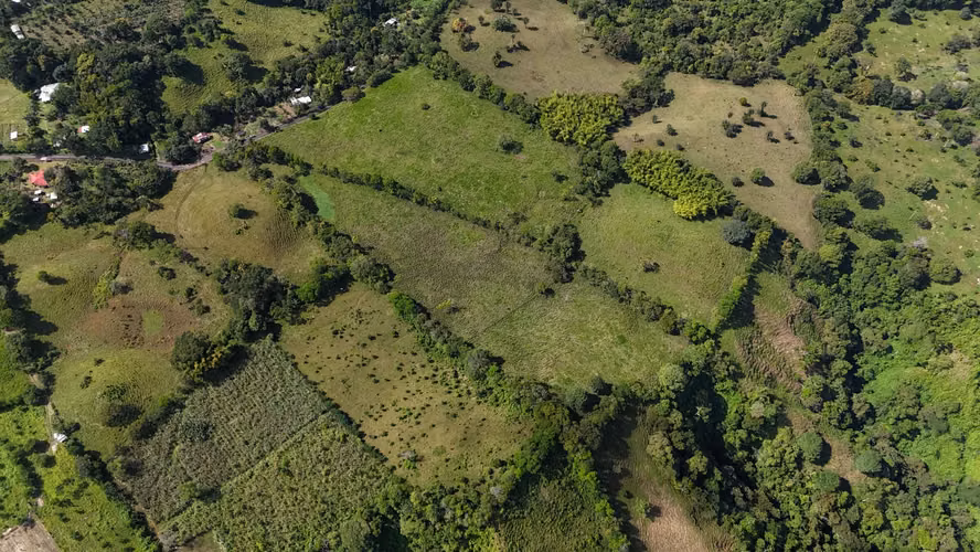 Finca en Chiriqui, Renacimiento 18.5 hectáreas Santa Cruz