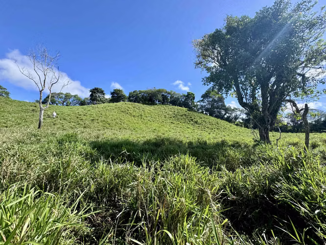 Finca en Chiriqui, Renacimiento 18.5 hectáreas Santa Cruz