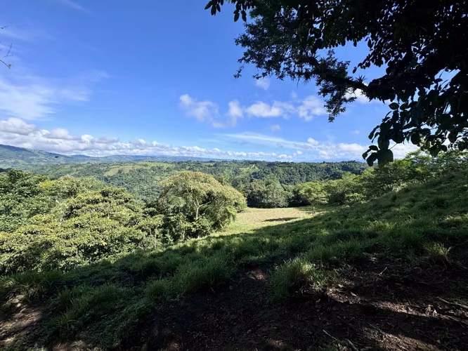 Finca en Chiriqui, Renacimiento 18.5 hectáreas Santa Cruz
