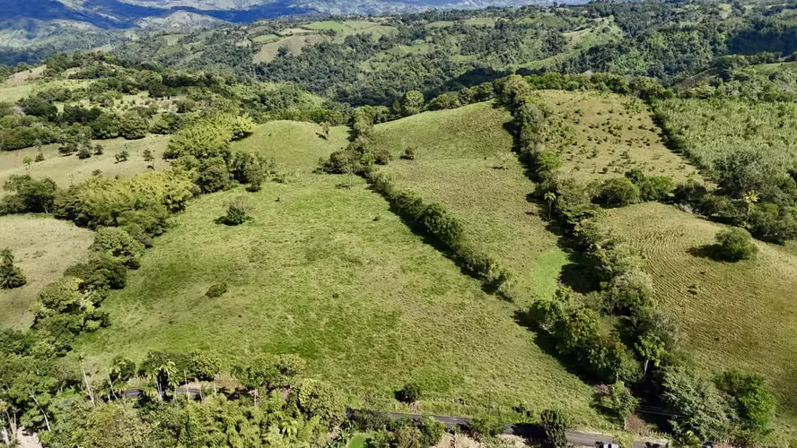 Finca en Chiriqui, Renacimiento 18.5 hectáreas Santa Cruz