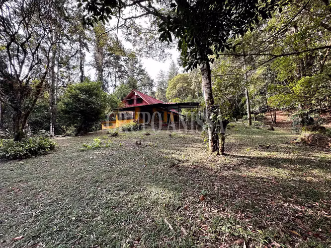 Oportunidad! Se Vende Casa con Amplio lote en Cerro Azul - Imagen 10