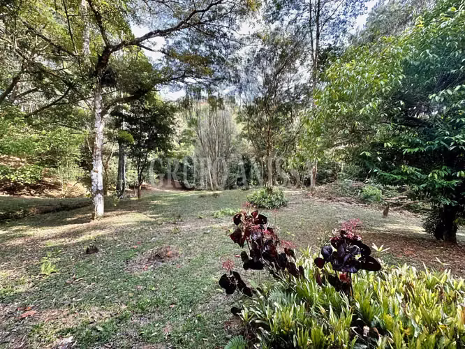 Oportunidad! Se Vende Casa con Amplio lote en Cerro Azul - Imagen 5