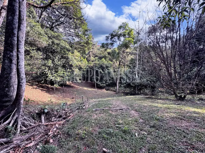 Oportunidad! Se Vende Casa con Amplio lote en Cerro Azul - Imagen 9