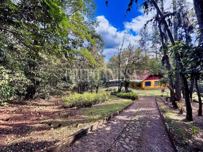 Oportunidad! Se Vende Casa con Amplio lote en Cerro Azul - Imagen 2