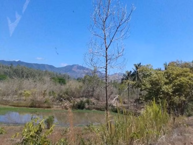 Venta de Finca en La Mesa de San Martin, 76 hectáreas - Imagen 9