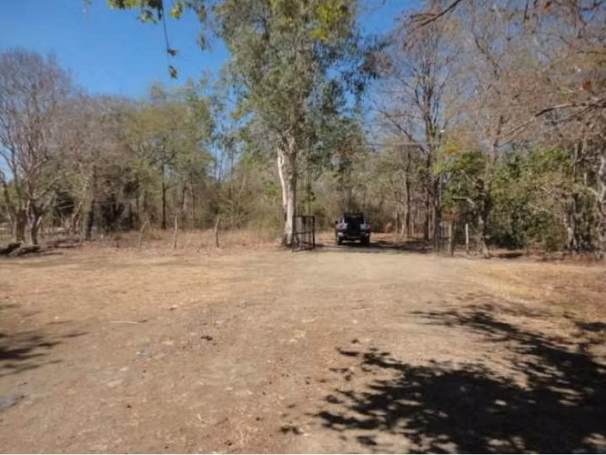 Venta de Finca en La Mesa de San Martin, 76 hectáreas - Imagen 5