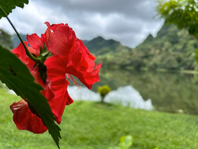 Vendo hermosa finca en La Laguna de San Carlos, ideal para turismo