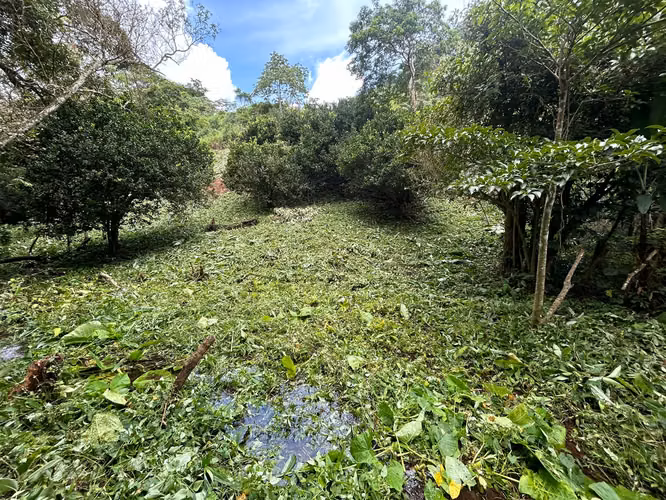 Vendo hermosa finca en La Laguna de San Carlos, ideal para turismo