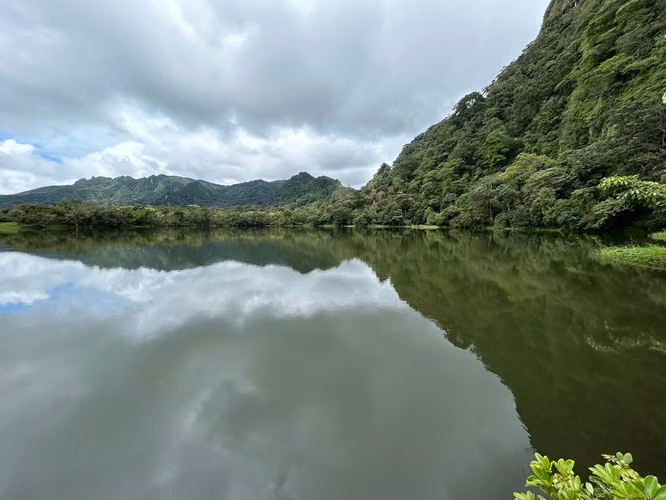Vendo hermosa finca en La Laguna de San Carlos, ideal para turismo