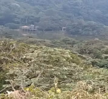 Vendo hermosa finca en La Laguna de San Carlos, ideal para turismo