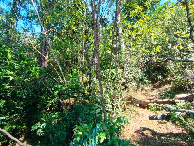 Finca en venta en Jaramillo Abajo, Boquete, Chiriquí