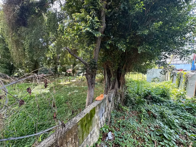 Venta de Terreno en El Cangrejo, 1495m2
