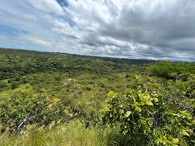 Vendo finca a orilla de calle en El Nancito de Chame