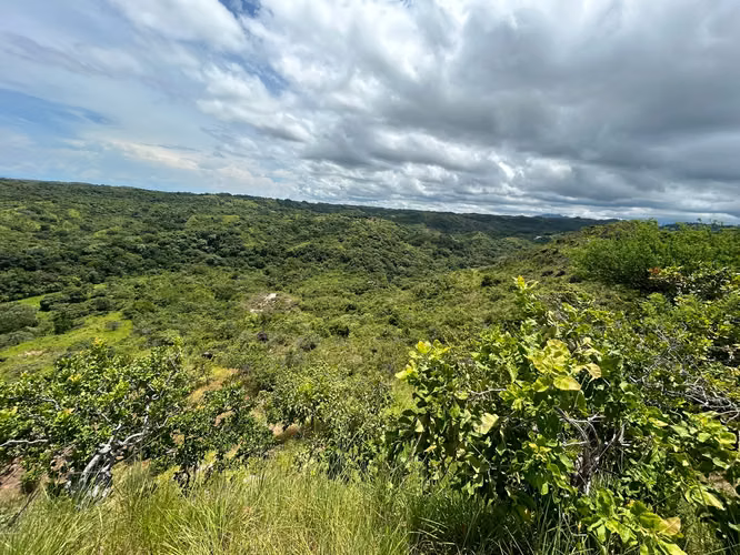 Vendo finca a orilla de calle en El Nancito de Chame