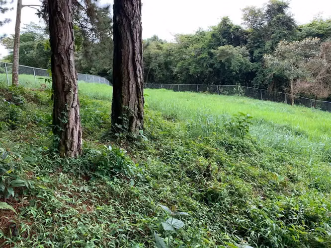 TERRENO JARAMILLO MEDIO FRENTE A LUCERO RESORT