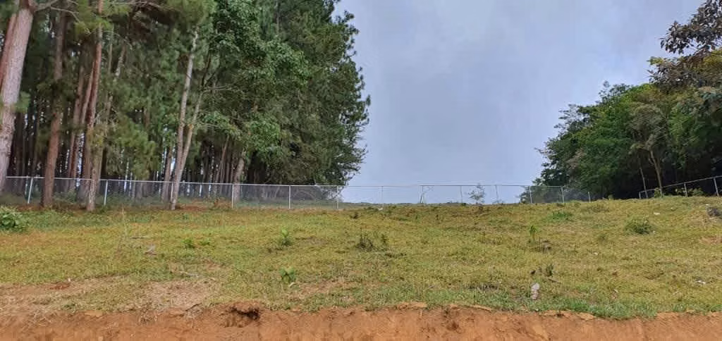 TERRENO JARAMILLO MEDIO FRENTE A LUCERO RESORT