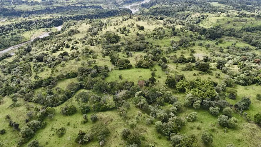 Finca Agro sostenible en Chiriqui, Bugaba, 136.4 hectáreas